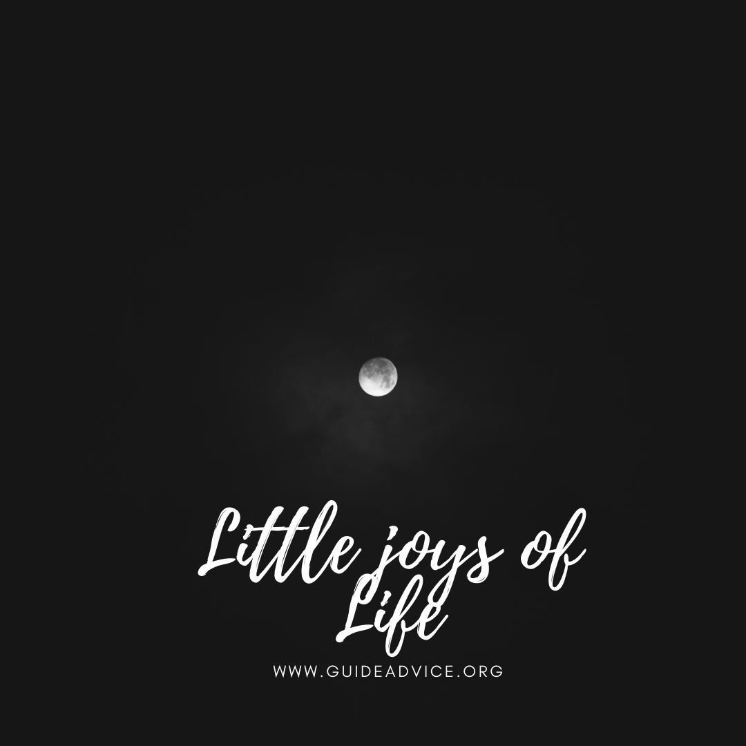 Little joys of Life – The Moon