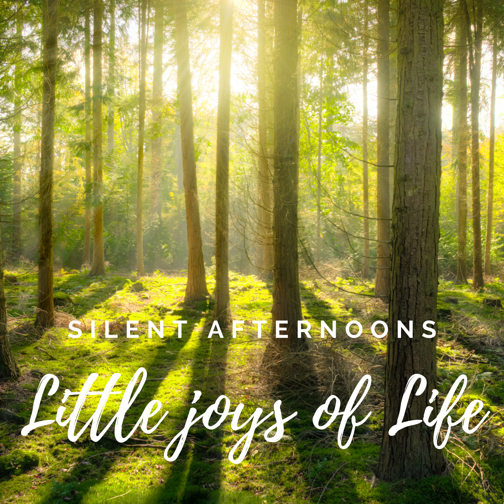 Little Joys of Life – Silent Afternoon’s