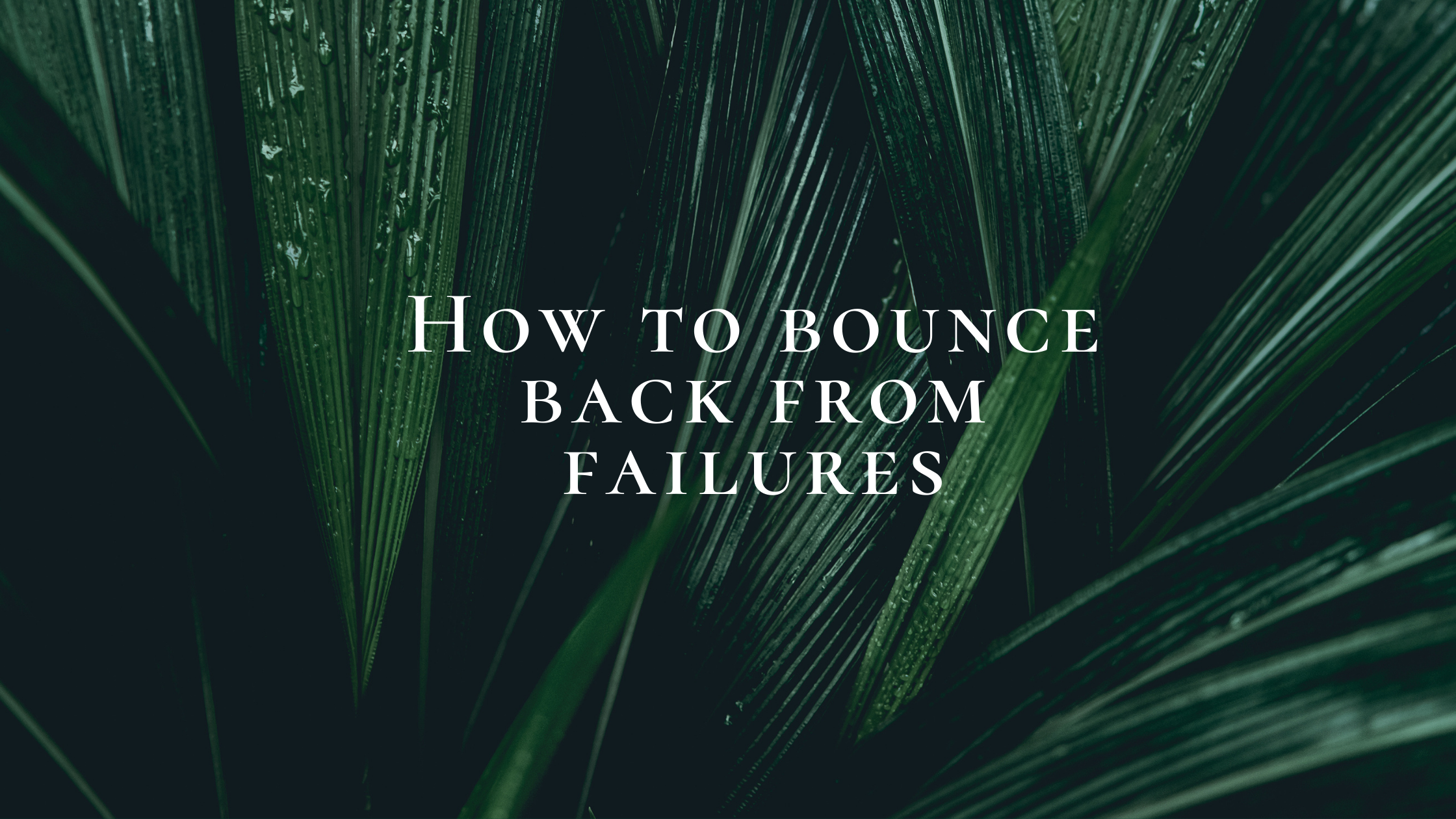 How to bounce back after failure