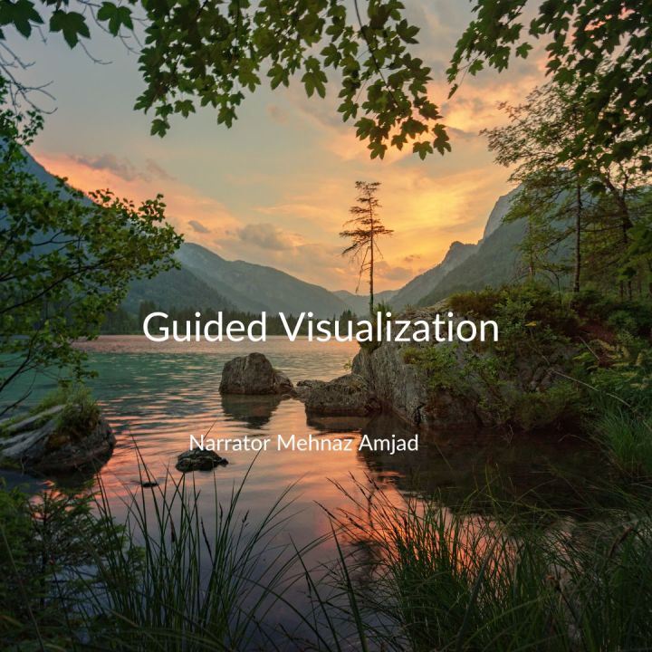 Guided Visualization to Safety