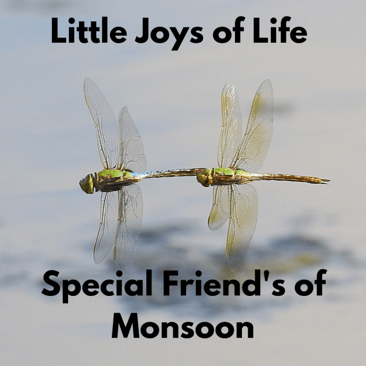 My special friend’s of Monsoon