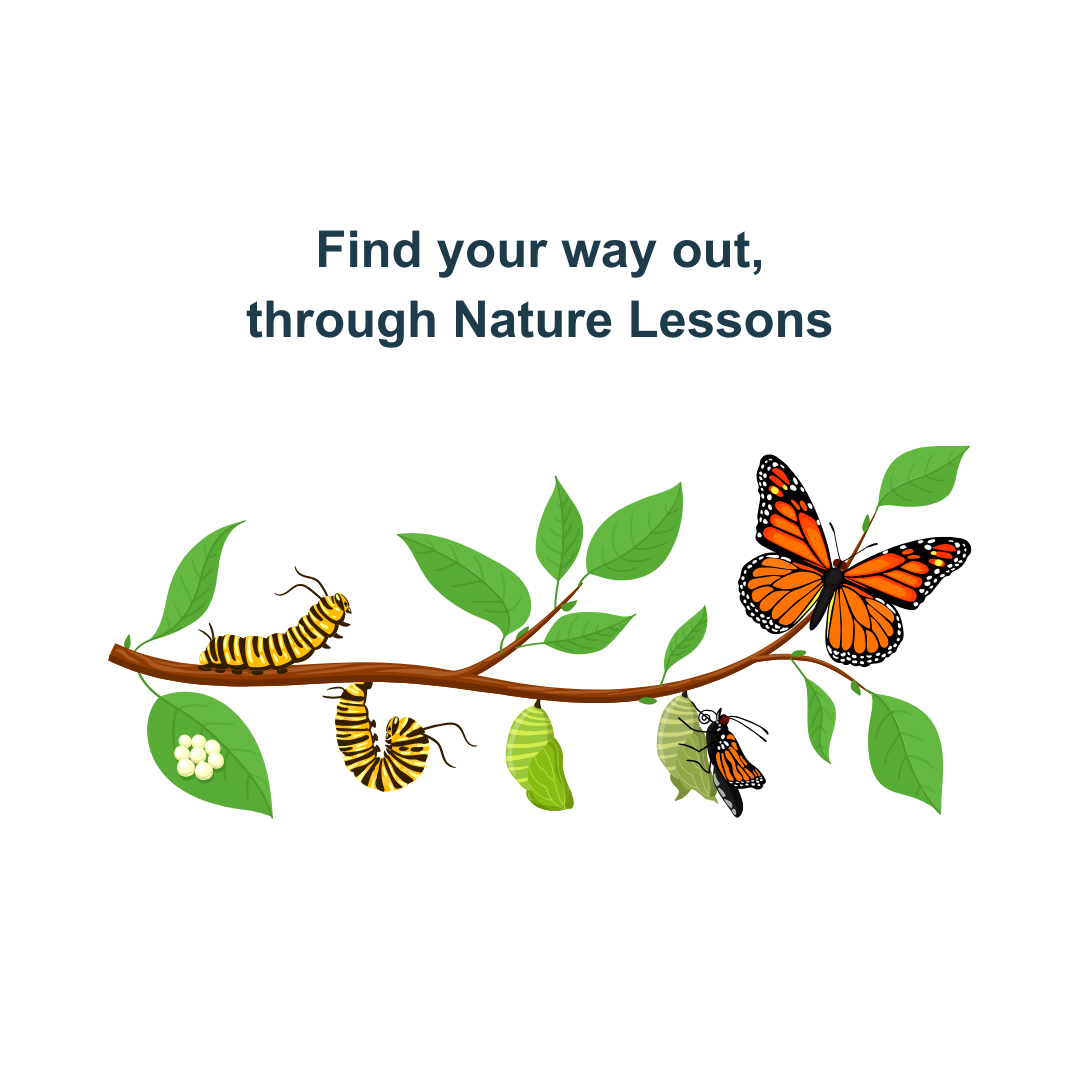 Find your way out, through nature lessons.